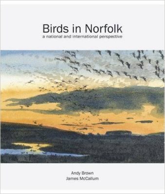 birds-in-norfolk